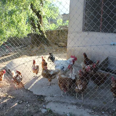 Carreras Country house
